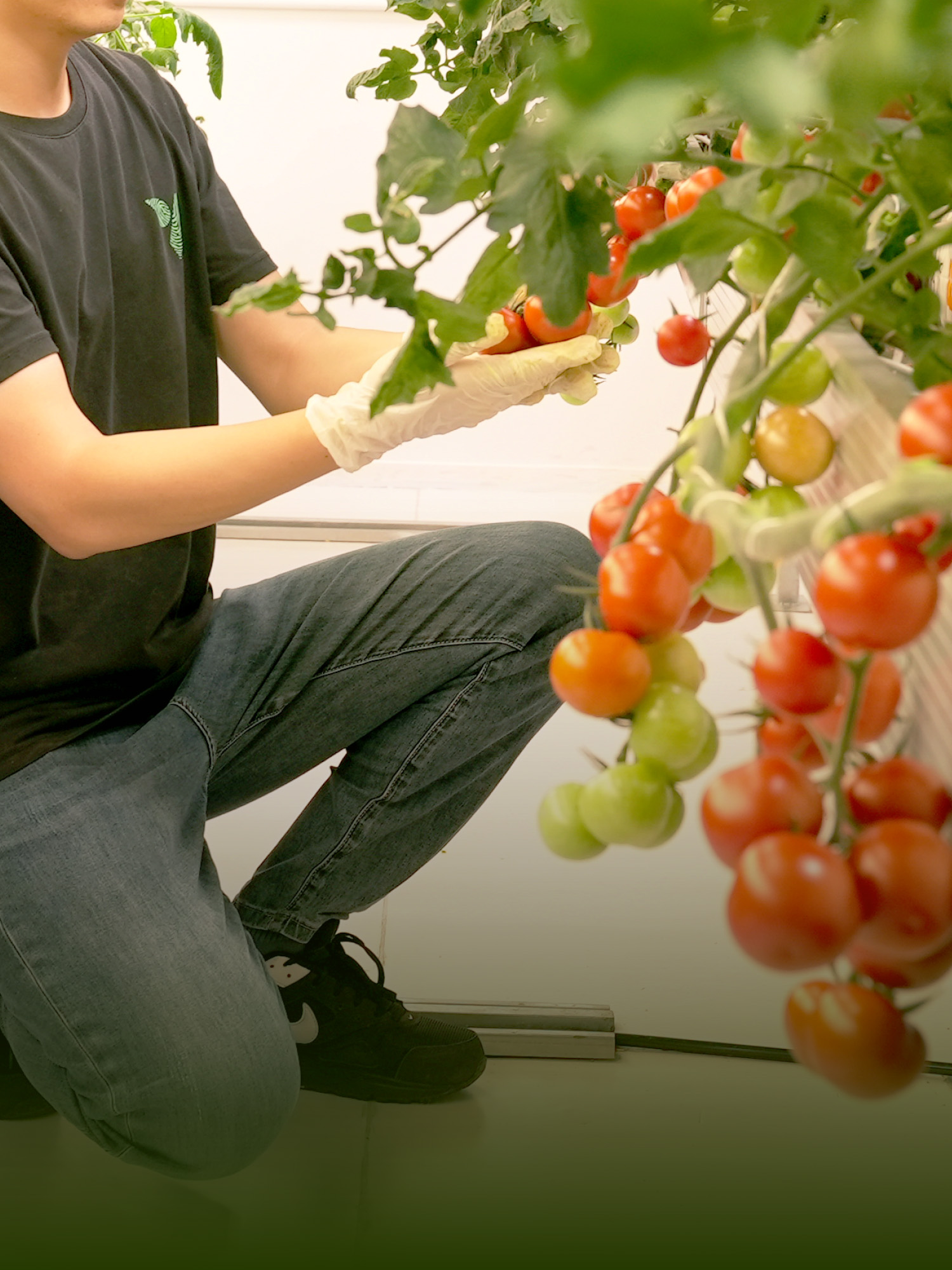 智能种植,愉悦身心