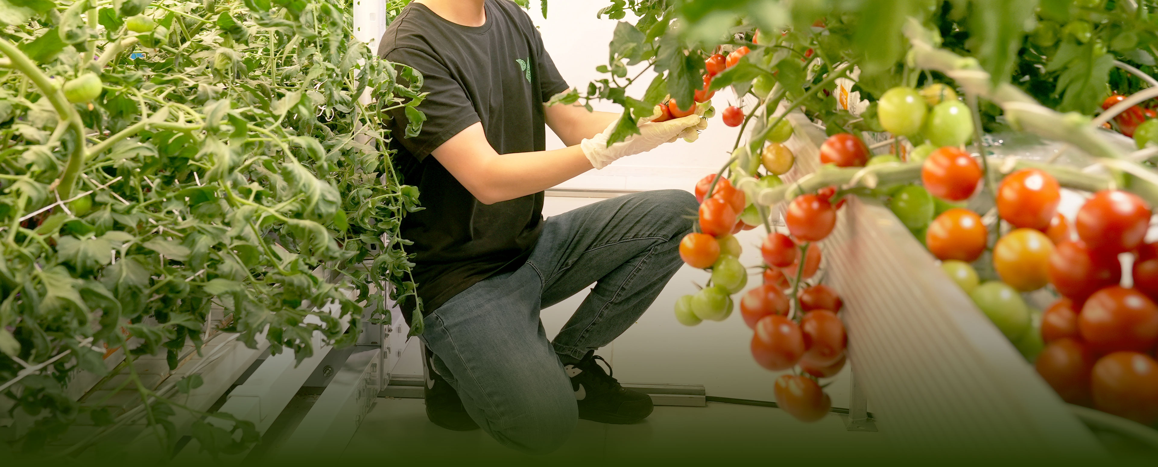 智能种植,愉悦身心